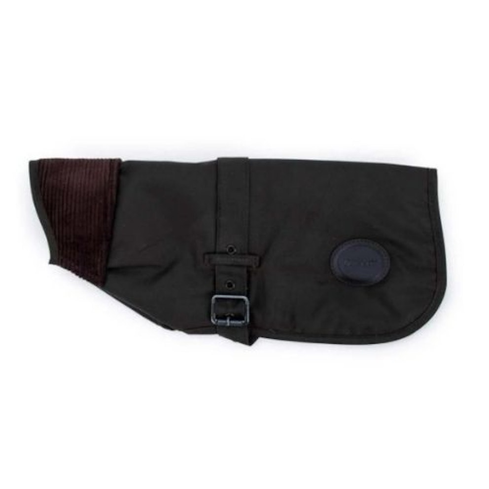 Best Aldi Dog Coats 2022